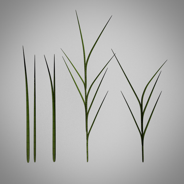 3d model grass - Grass by meerkat1123432
